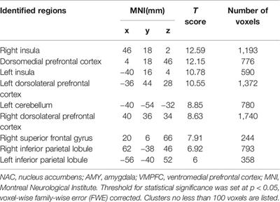 Converging Resting State Networks Unravels Potential Remote Effects of Transcranial Magnetic Stimulation for Major Depression